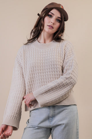Chunky Plush Knit Sweater