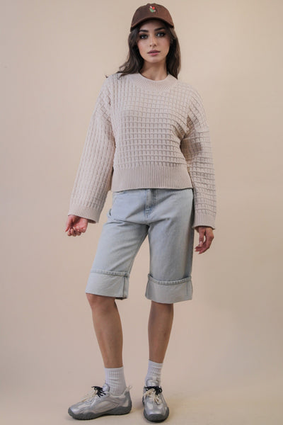 Chunky Plush Knit Sweater