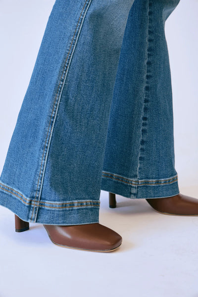 Judy Blue Tummy Control Petite Flare