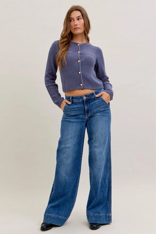 Judy Blue Retro Wide Leg Petite