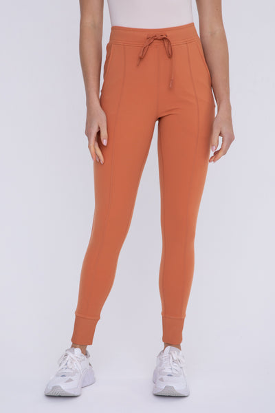 Paneled Slimming Joggers