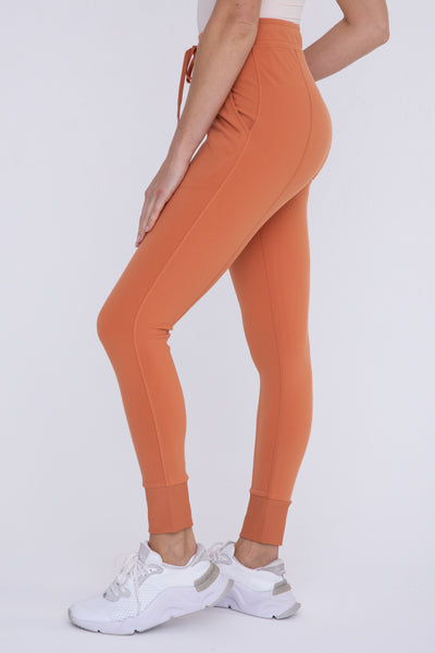 Paneled Slimming Joggers